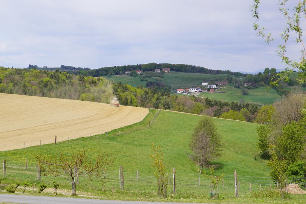 Pension Ritz Loipersdorf bei Fuerstenfeld Exterior photo