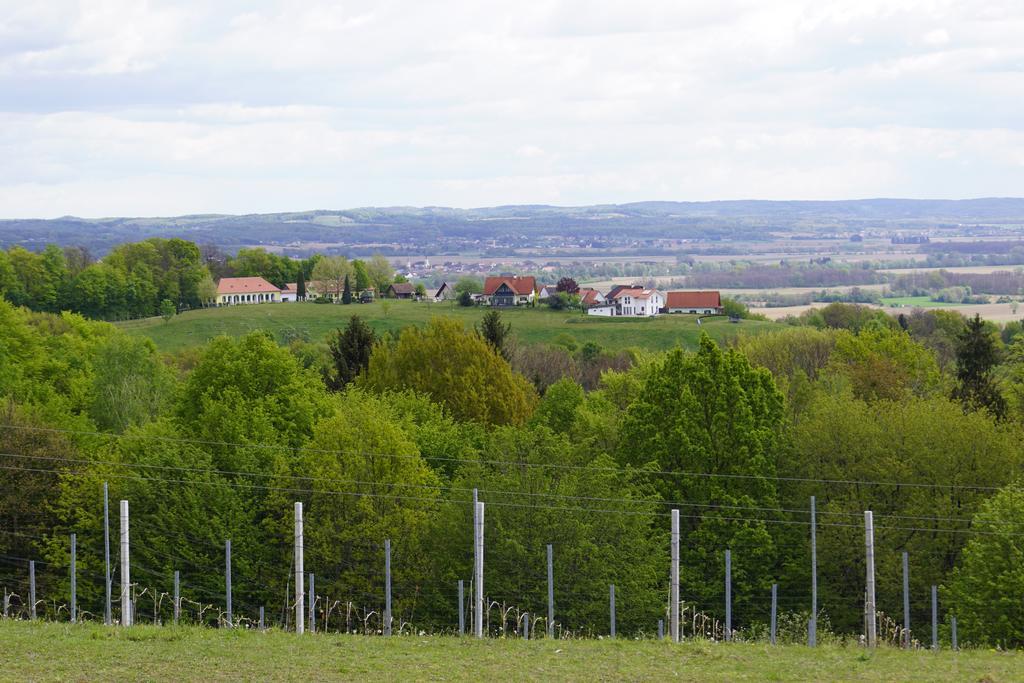 Pension Ritz Loipersdorf bei Fuerstenfeld Exterior photo